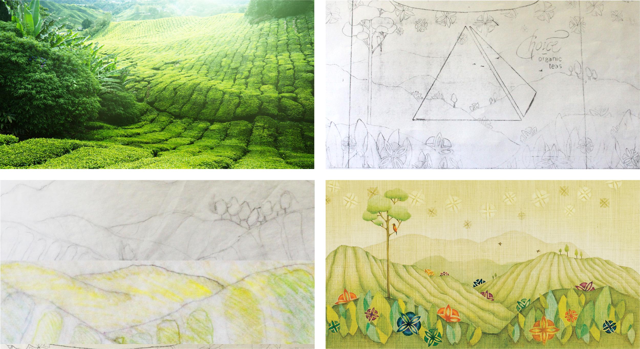 Collage of four images showing various stages of tea-themed artwork, from a photograph of a tea plantation to sketches and illustrations.